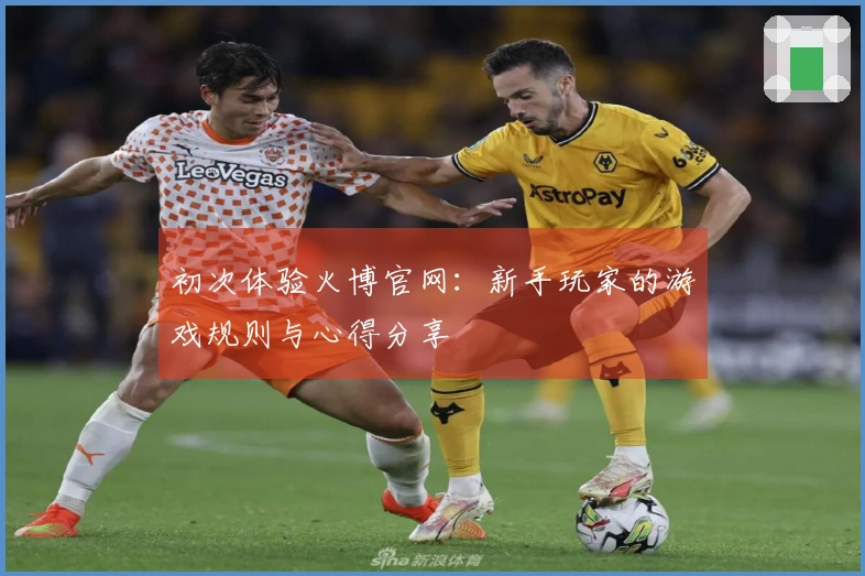 初次体验火博官网：新手玩家的游戏规则与心得分享